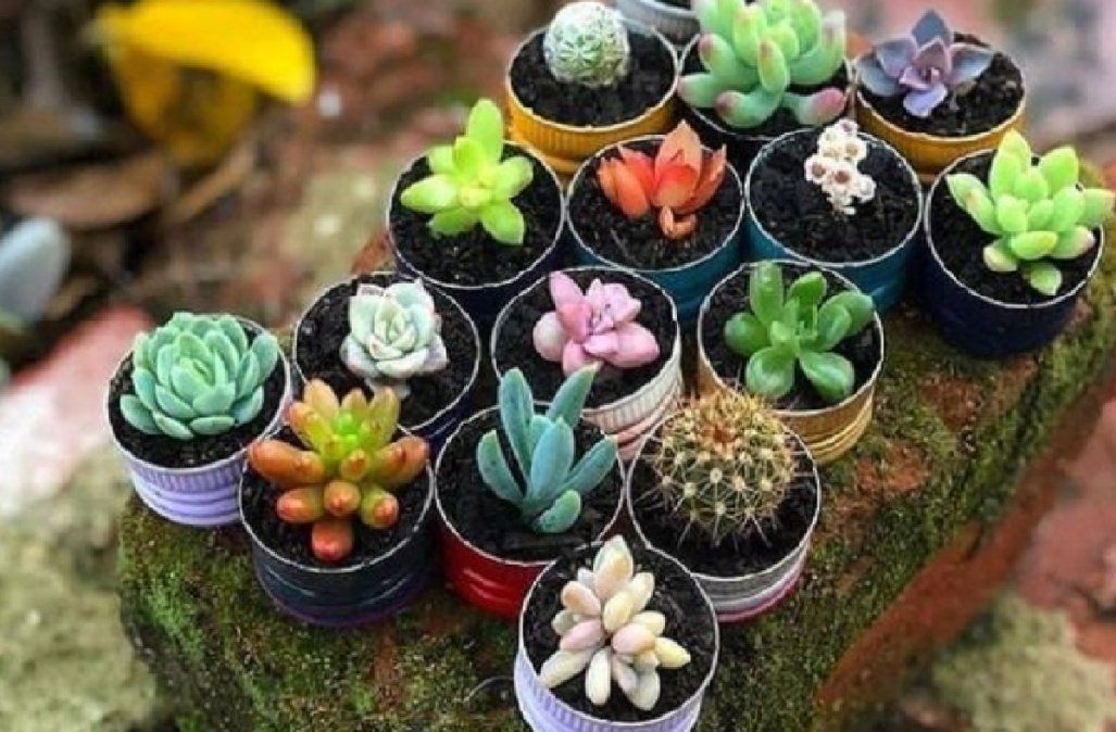Plantas de plástico hechas con materiales reciclados