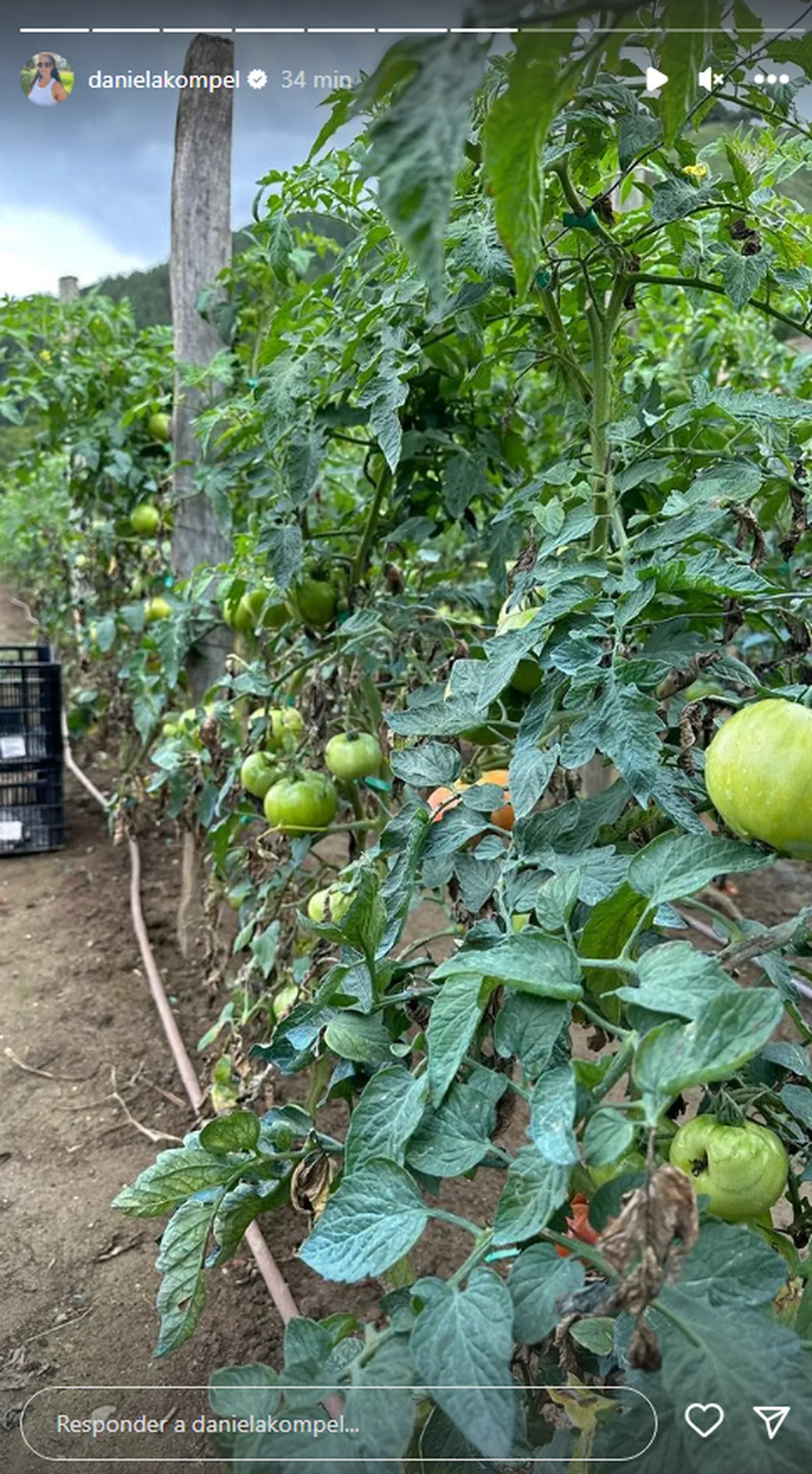 Así es el viaje de Daniela Kompel tras su salida de MasterChef Argentina. Así es el viaje de Daniela Kompel tras su salida de MasterChef Argentina.