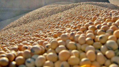 El mercado de granos resiste la guerra comercial y los productores argentinos venden a su ritmo