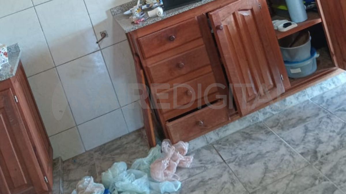 La angustia por los robos, que no solo generan pérdidas materiales, sino también psicológicas, llevó a los vecinos a organizarse en un grupo de WhatsApp con más de 200 participantes. La angustia por los robos, que no solo generan pérdidas materiales, sino también psicológicas, llevó a los vecinos a organizarse en un grupo de WhatsApp con más de 200 participantes.