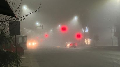 Ni luces altas ni balizas: las claves para manejar con niebla sin correr riesgos
