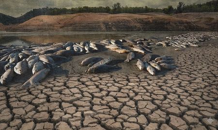 El principio precautorio, la tutela del ambiente y el rol esencial de los jueces. (Imagen generada con IA) El principio precautorio, la tutela del ambiente y el rol esencial de los jueces. (Imagen generada con IA)