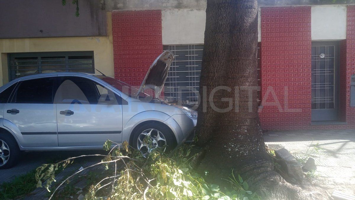 El auto que casi choca a Mirta logró frenar el impulso del choque por un árbol.&nbsp;