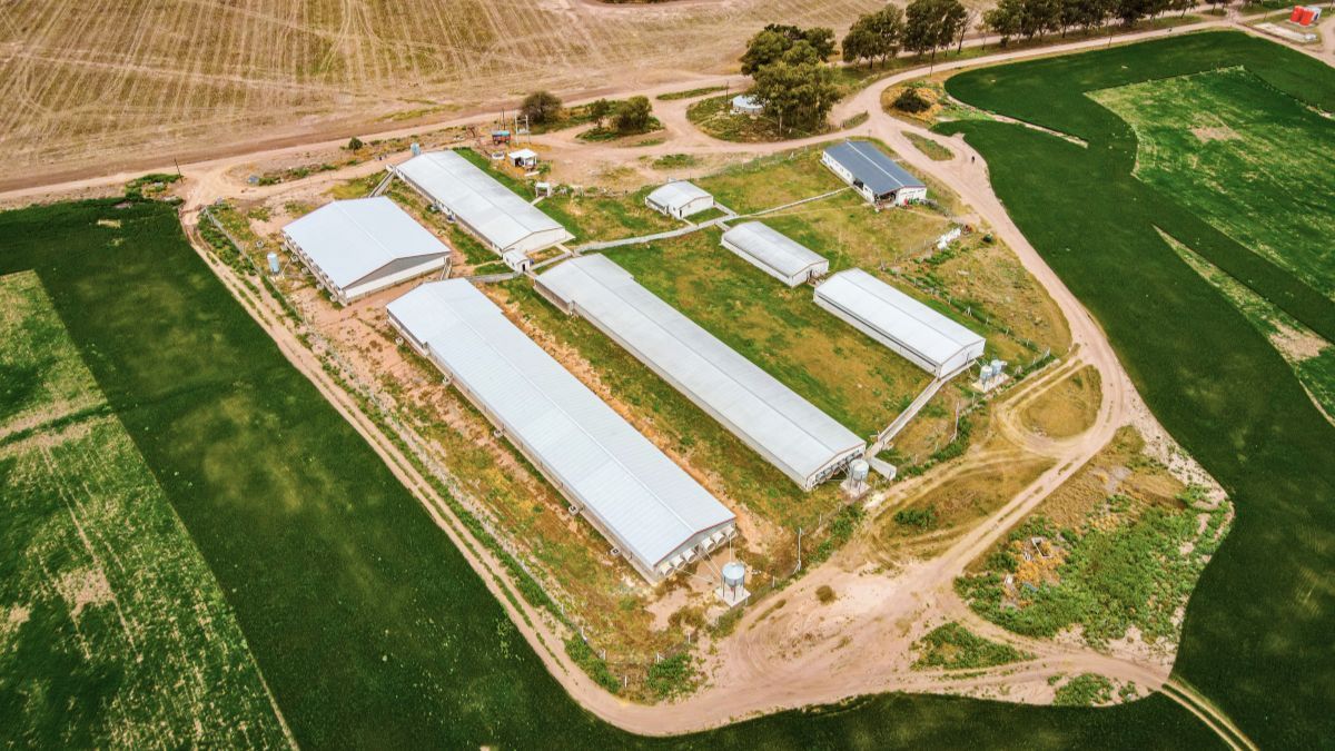 La granja porcina produce carne, pero también purín que se transforma en biofertilizante. La granja porcina produce carne, pero también purín que se transforma en biofertilizante.