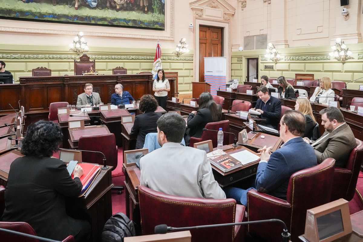 Tal como adelantó AIRE, la semana que viene entra en vigencia el plazo para que las comisiones empiecen a emitir sus dictámenes que serán, luego, giradas a la comisión Redactora. Tal como adelantó AIRE, la semana que viene entra en vigencia el plazo para que las comisiones empiecen a emitir sus dictámenes que serán, luego, giradas a la comisión Redactora.