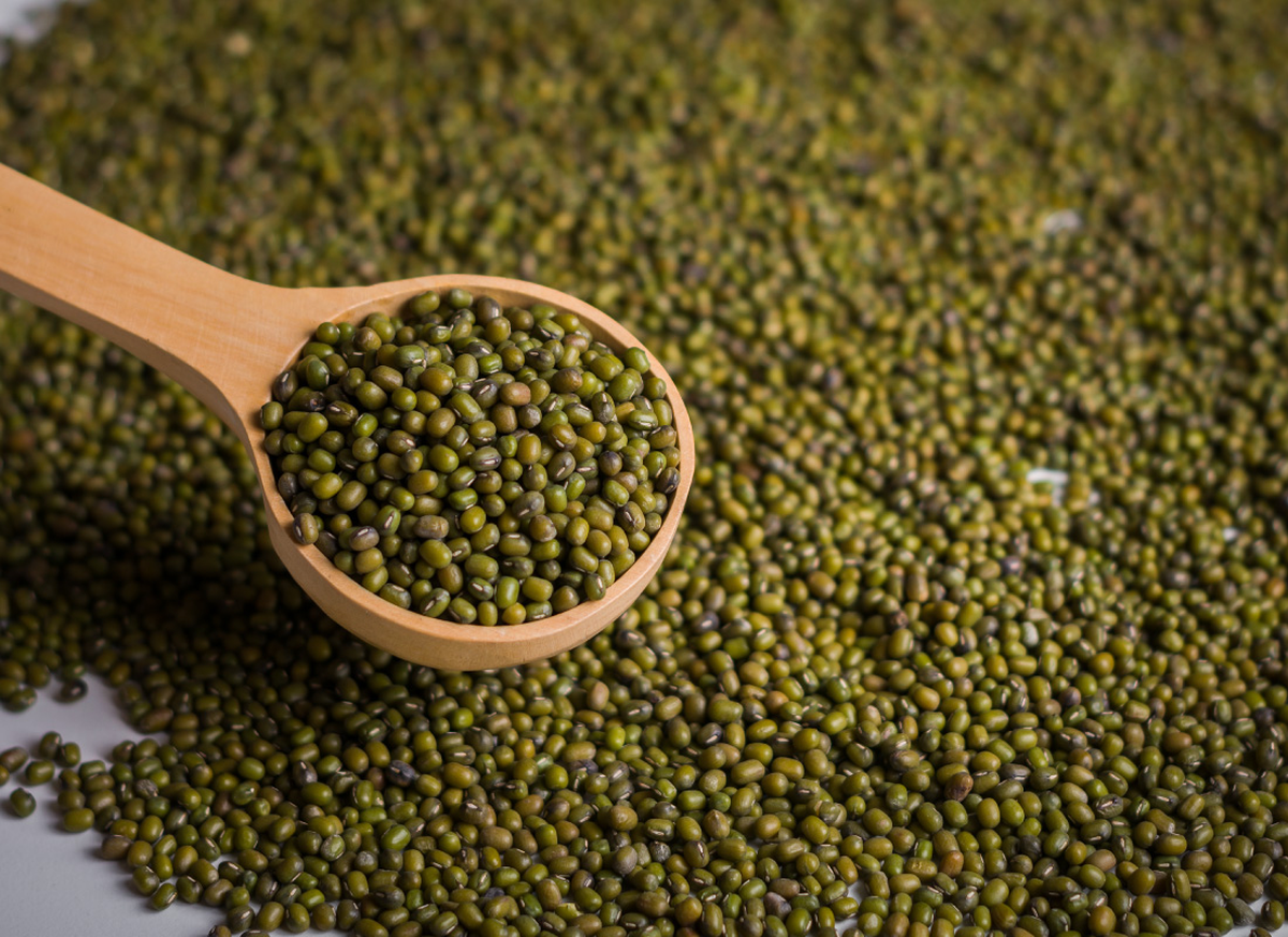 Los porotos Mung pueden usarse en todo tipo de platos.