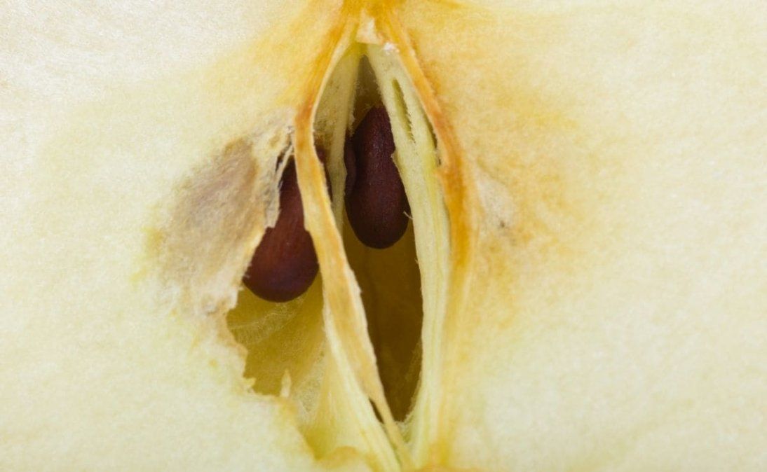 En semillas, se encuentra una sustancia tóxica conocida con el nombre de amigdalina que se convierte en cianuro.