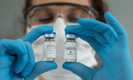 Los investigadores inocularon a caballos con el coronavirus para obtener anticuerpos. Los investigadores inocularon a caballos con el coronavirus para obtener anticuerpos.
