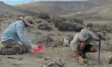 Descubren en Chubut una nueva especie de dinosaurio: qué se sabe del Bicharracosaurus. Descubren en Chubut una nueva especie de dinosaurio: qué se sabe del Bicharracosaurus.