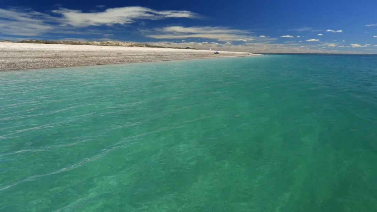 Conchillas blancas y agua clara explican por qu&eacute; Punta Villarino se gan&oacute; el apodo de &ldquo;playa caribe&ntilde;a&rdquo; en Patagonia.