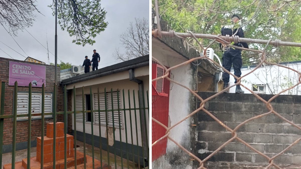 Los policías rompieron el durlock y encontraron en un conducto a un felino con vida en un conducto.