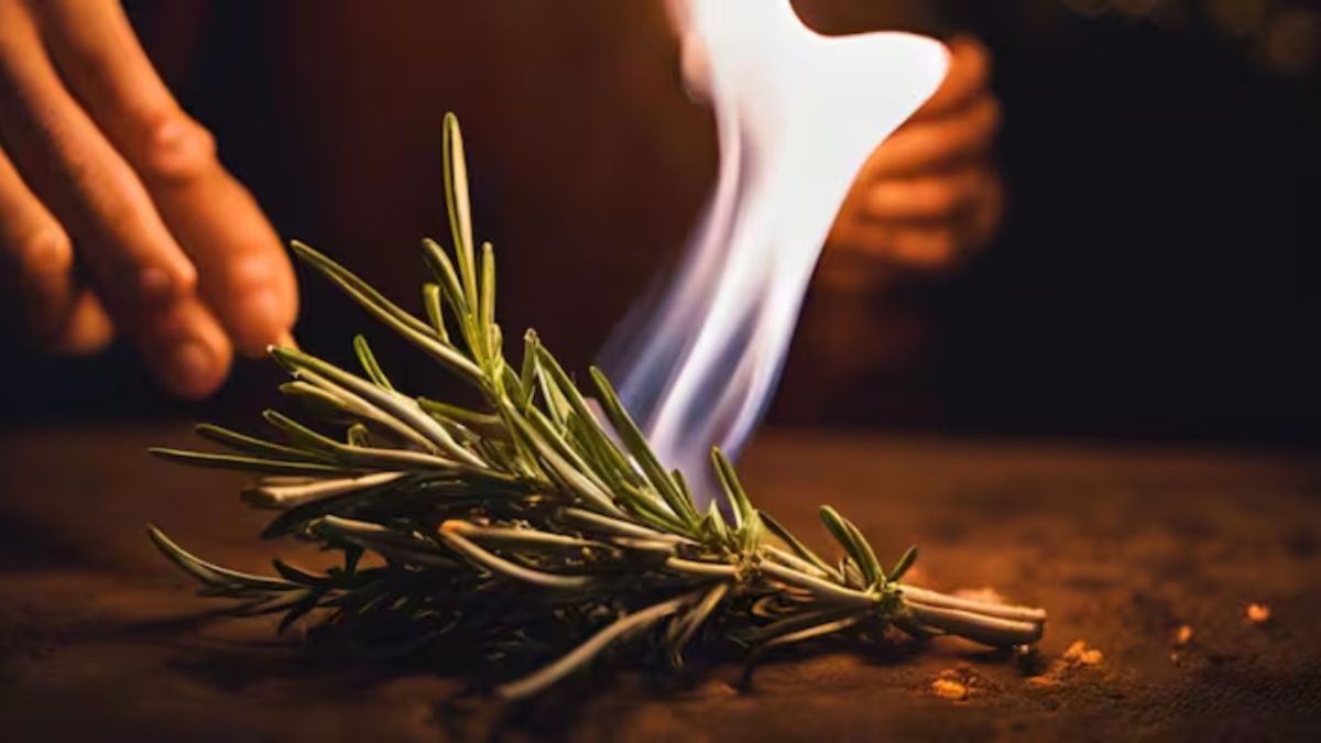 Quemar romero puede atraer prosperidad y buena suerte.&nbsp;