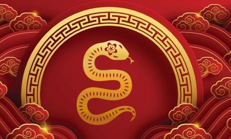 Este signo es conocido por su versatilidad y su inteligencia, son los nacidos en 1932, 1944, 1956, 1968, 1980, 1992, 2004 y 2016. Este signo es conocido por su versatilidad y su inteligencia, son los nacidos en 1932, 1944, 1956, 1968, 1980, 1992, 2004 y 2016.