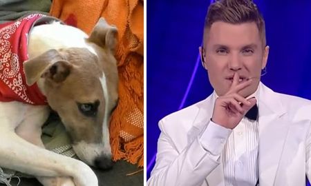 Se conoció la estrategia de Gran Hermano para que el perro Arturo no regrese al refugio de animales. Se conoció la estrategia de Gran Hermano para que el perro Arturo no regrese al refugio de animales.