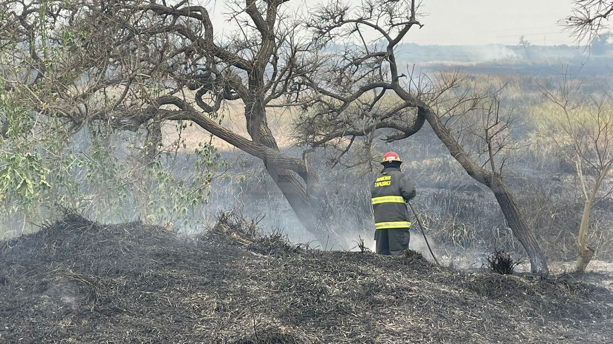 Bomberos zapadores trabajando en la disipación del fuego. Bomberos zapadores trabajando en la disipación del fuego.