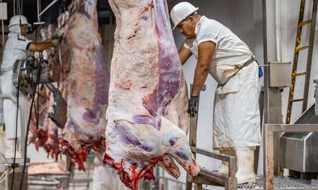 la exportacion de carne recupera la competitividad perdida la exportacion de carne recupera la competitividad perdida