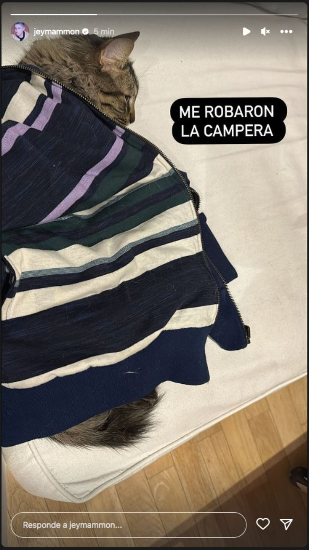 Jey denunció a uno de sus hijos gatunos por robarle la campera. Jey denunció a uno de sus hijos gatunos por robarle la campera.