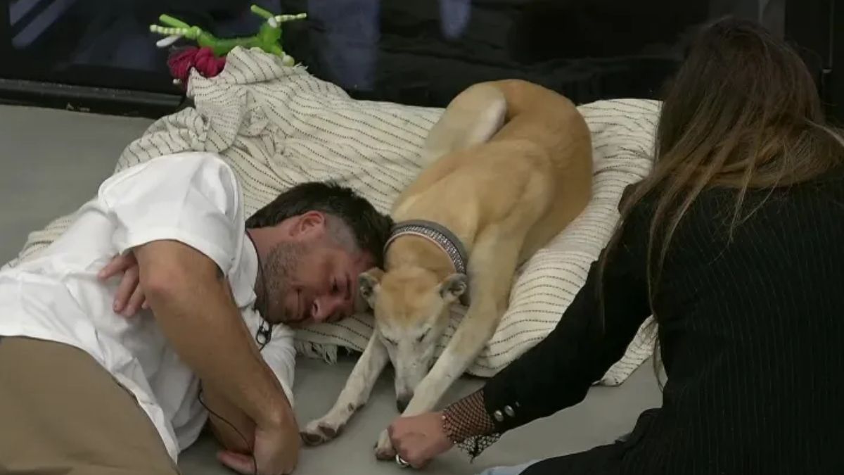 Devi y Eugenia junto a Paris en la casa de Gran Hermano. Devi y Eugenia junto a Paris en la casa de Gran Hermano.