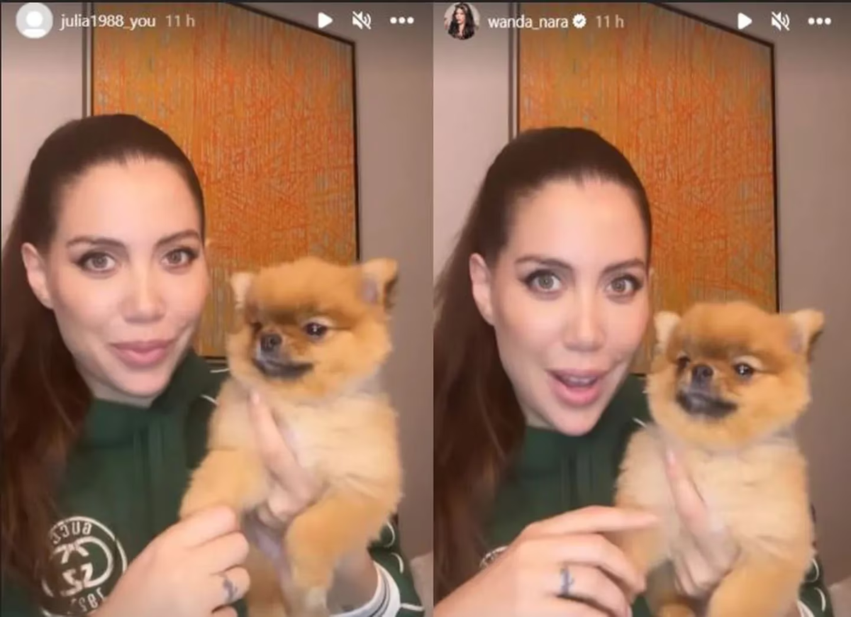 La cuenta falsa de Wanda Nara es @julia1988_you, pero cambia el nombre de usuario muy seguido. La cuenta falsa de Wanda Nara es @julia1988_you, pero cambia el nombre de usuario muy seguido.