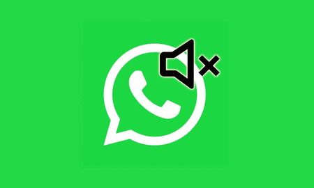 WhatsApp silenciar WhatsApp silenciar