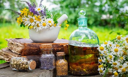 hierbas medicinales que te ayudan a calmar el dolor de estomago hierbas medicinales que te ayudan a calmar el dolor de estomago