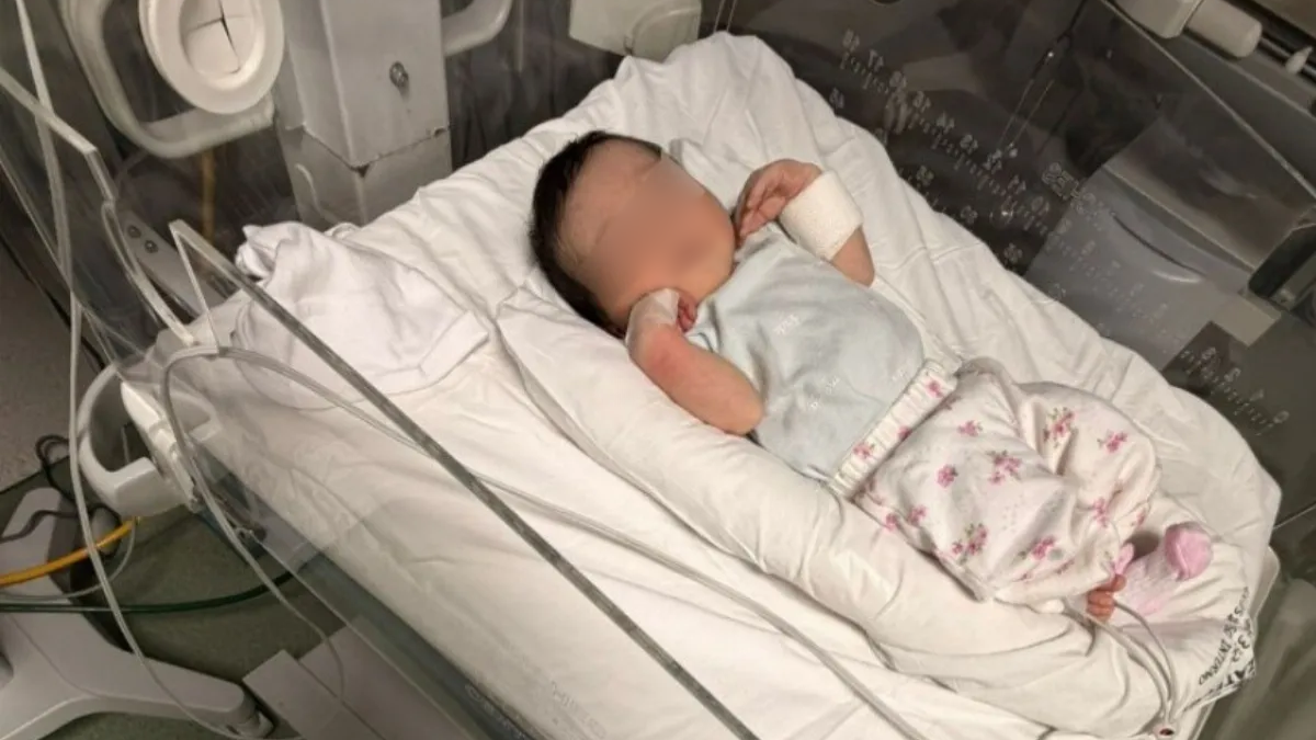Una adolescente dio a luz con indicaciones de la IA y su novio simuló haber encontrado a la beba abandonada Una adolescente dio a luz con indicaciones de la IA y su novio simuló haber encontrado a la beba abandonada