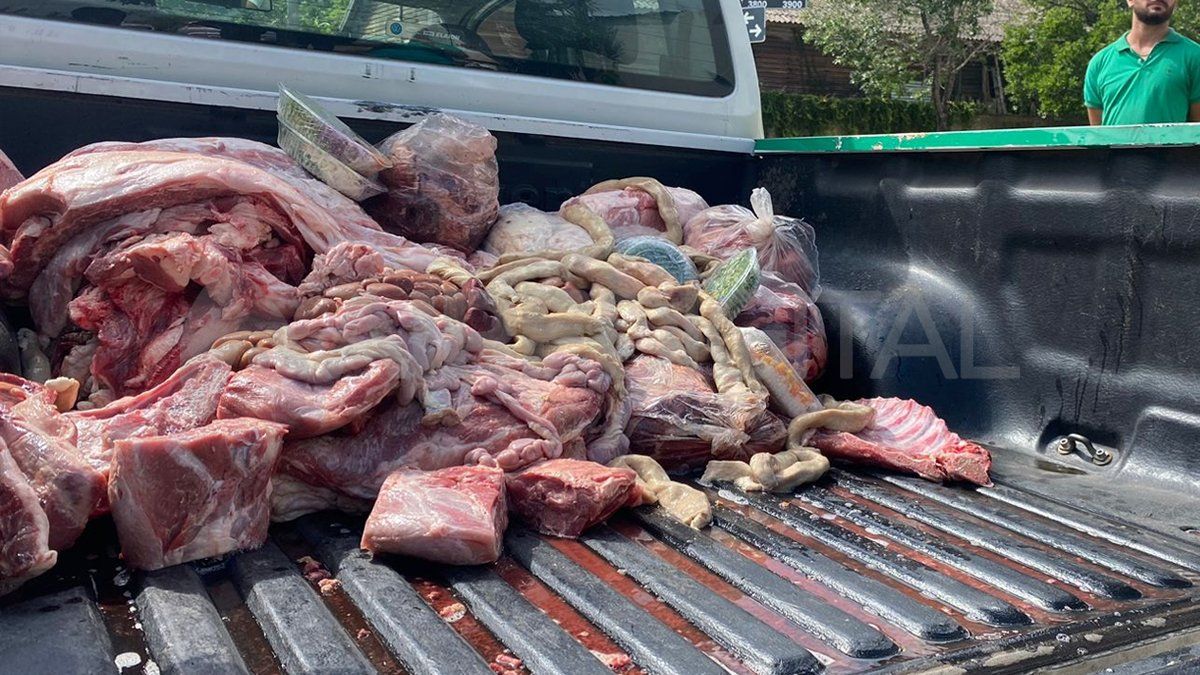 Por denuncias de los vecinos, motivadas por el mal olor, la semana pasada hubo múltiples decomisos de carne podrida en Santa Fe.