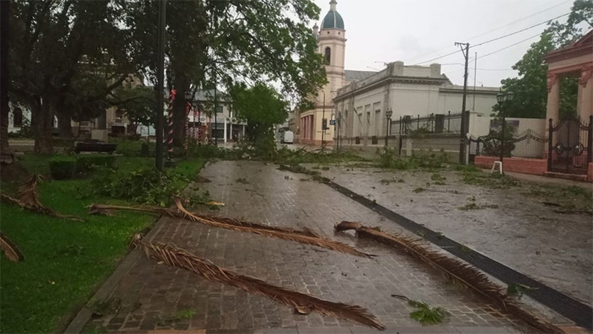 Centro de la ciudad. Centro de la ciudad.