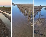 A un mes del temporal, los campos de Villa Minetti continúan bajo el agua. A un mes del temporal, los campos de Villa Minetti continúan bajo el agua.