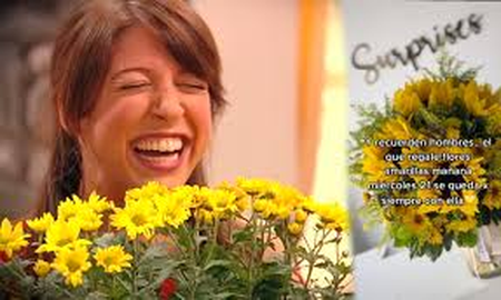 flores amarillas: margarita festeja el dia de la primavera
