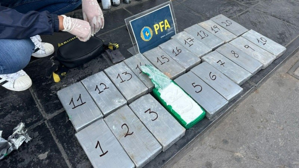 Parte de los 22 kilos de cocaína secuestrados a Parte de los 22 kilos de cocaína secuestrados a
