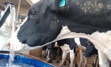 La instalación de sistemas de abastecimiento de agua creció en demanda, producto de un cambio de ánimo en los productores. La instalación de sistemas de abastecimiento de agua creció en demanda, producto de un cambio de ánimo en los productores.