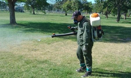 Al momento de las fumigaciones se privilegiarán los parques, plazas y espacios públicos. Al momento de las fumigaciones se privilegiarán los parques, plazas y espacios públicos.