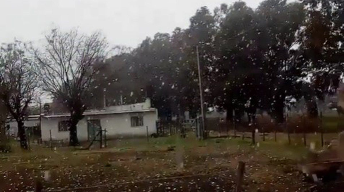 Nevó en el sur de la provincia de Santa Fe este domingo.
