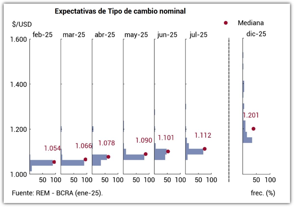 Fuente: REM - BCRA