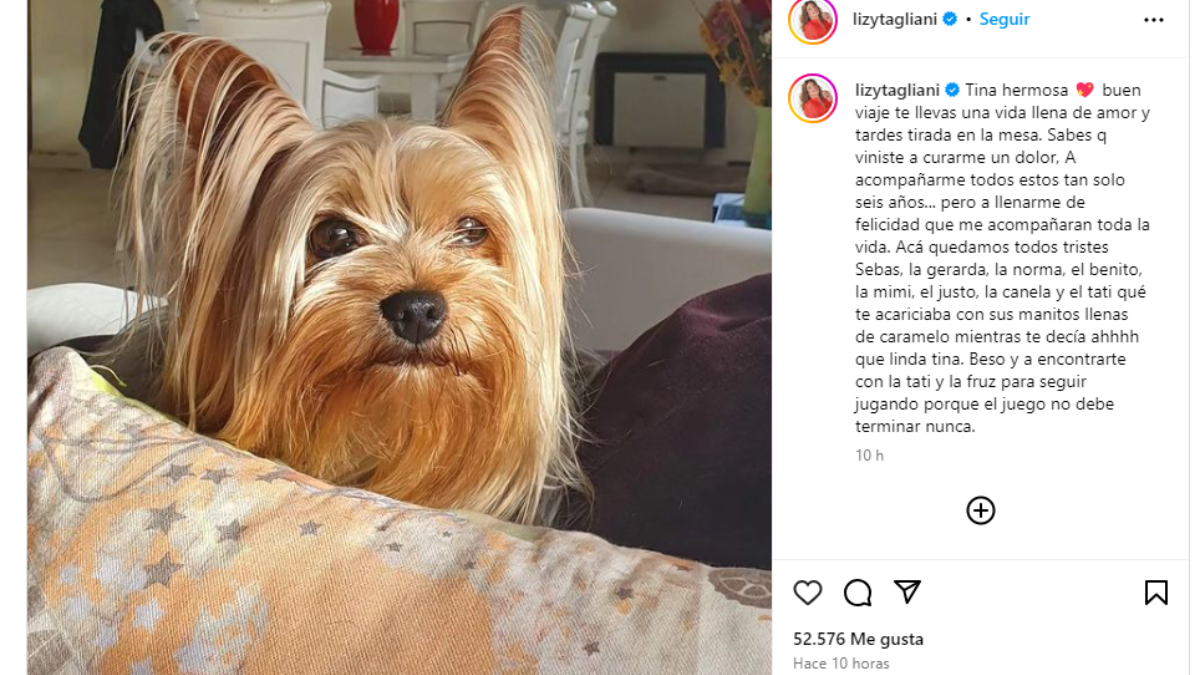 El triste mensaje de despedida que Lizy Tagliani le dedicó a su perra Tina. El triste mensaje de despedida que Lizy Tagliani le dedicó a su perra Tina.