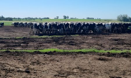la lecheria argentina ante una oportunidad historica: demanda global en alza y produccion interna en crecimiento la lecheria argentina ante una oportunidad historica: demanda global en alza y produccion interna en crecimiento
