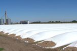 Del lote al bolsillo: el arte de cosechar rentabilidad en un mayo de contrastes Del lote al bolsillo: el arte de cosechar rentabilidad en un mayo de contrastes