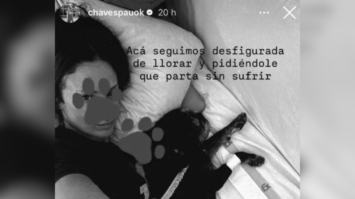 «Desconfigurada de llorar, que parta sin sufrir»: la trágica pérdida que golpea con fuerza a Paula Chaves «Desconfigurada de llorar, que parta sin sufrir»: la trágica pérdida que golpea con fuerza a Paula Chaves