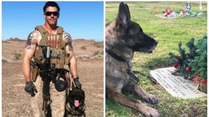La emocionante historia de una mamá que adoptó al perro de su hijo militar muerto en la guerra.