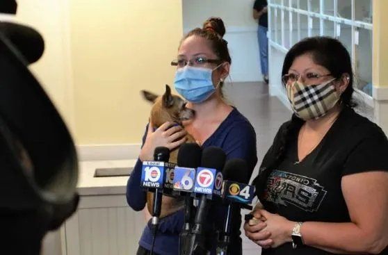 La familila se encontró con el perrito.