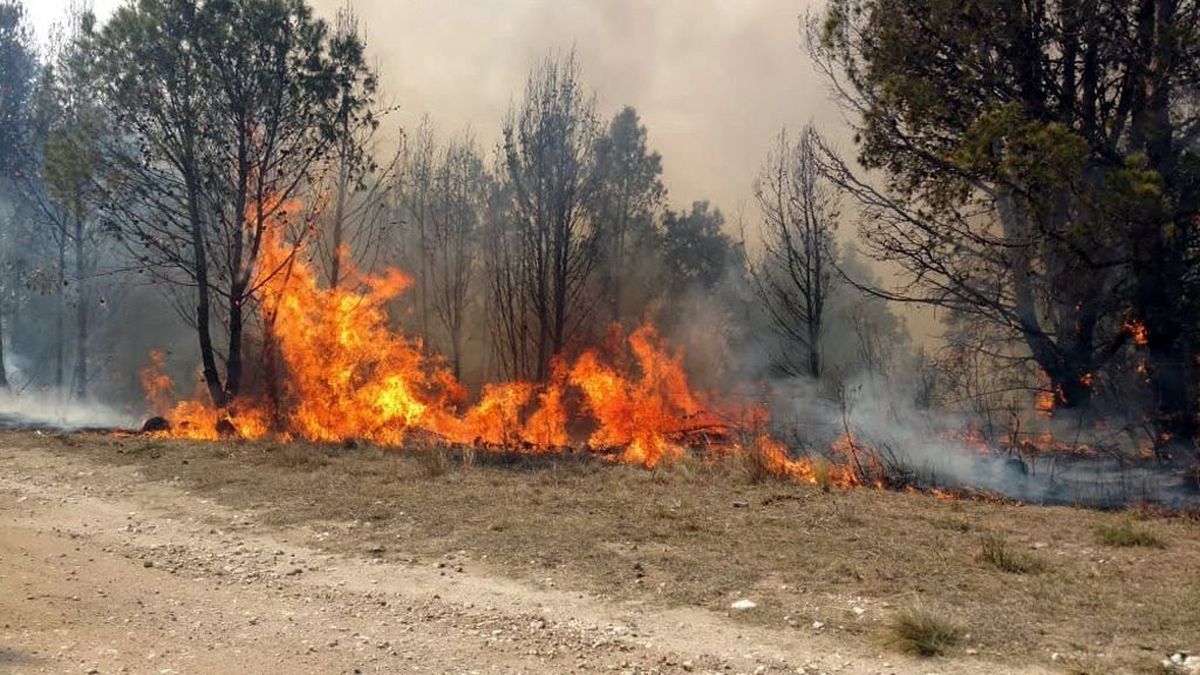 En Jujuy permanecían activos focos de incendio en las localidades de Ledesma y Palpalá.