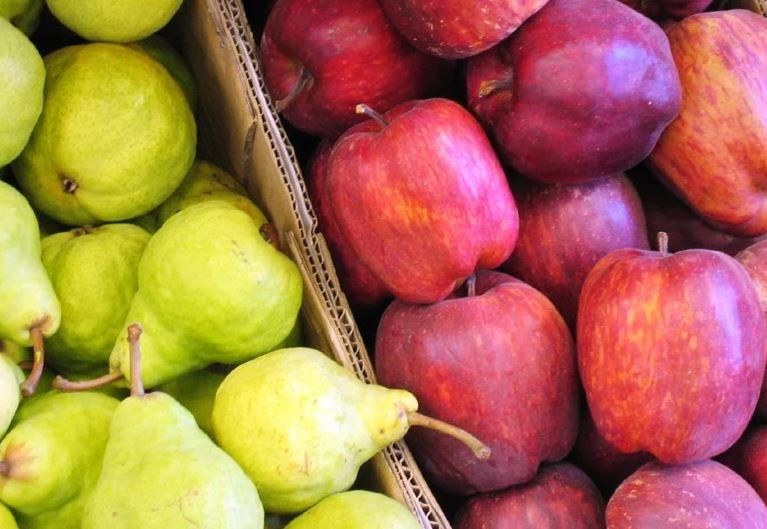 Brasil cerró completamente el ingreso de peras y manzanas argentinas