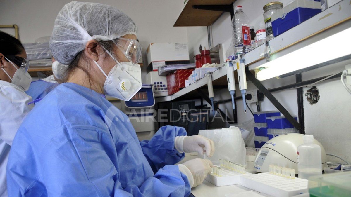 Así trabajan en uno de los 32 laboratorios de la provincia de Buenos Aires que analizan muestras en busca de coronavirus.