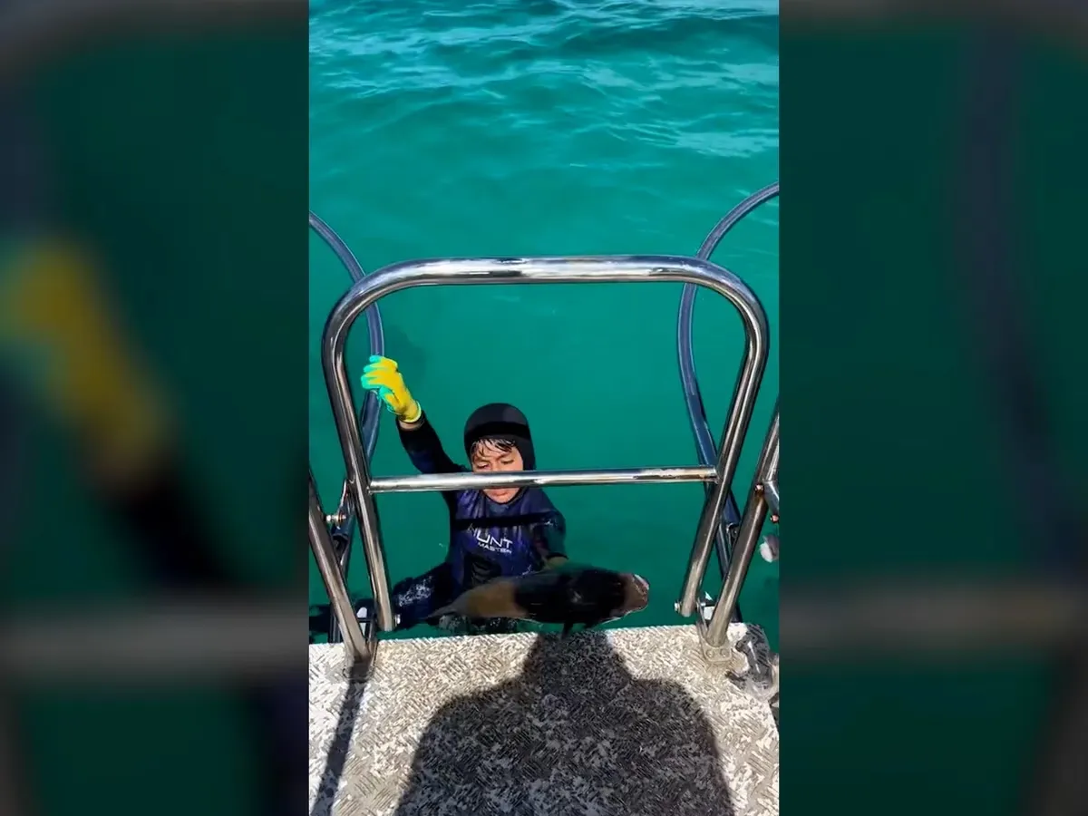 El joven Manni Alam, fue atacado por un tiburón.