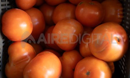 Aire de Santa Fe | Tomate redondo_DSC09380_MTH.jpg