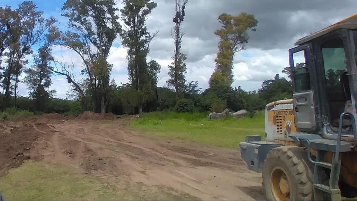 El procedimiento se realizó a partir de denuncias que presentaron vecinos de la ciudad de Rosario. 