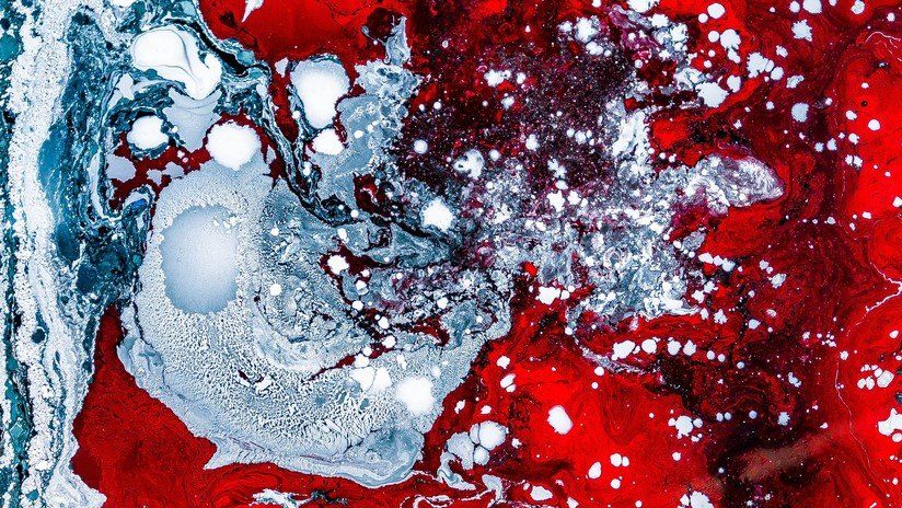 Beber sangre de pollo y comer pescado vivo: así castiga un jefe a sus empleados en China