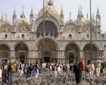el mundo de la cultura unido para salvar el patrimonio de venecia el mundo de la cultura unido para salvar el patrimonio de venecia