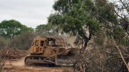 La deforestación agrava el impacto del cambio climático y las consecuencias de las inundaciones.